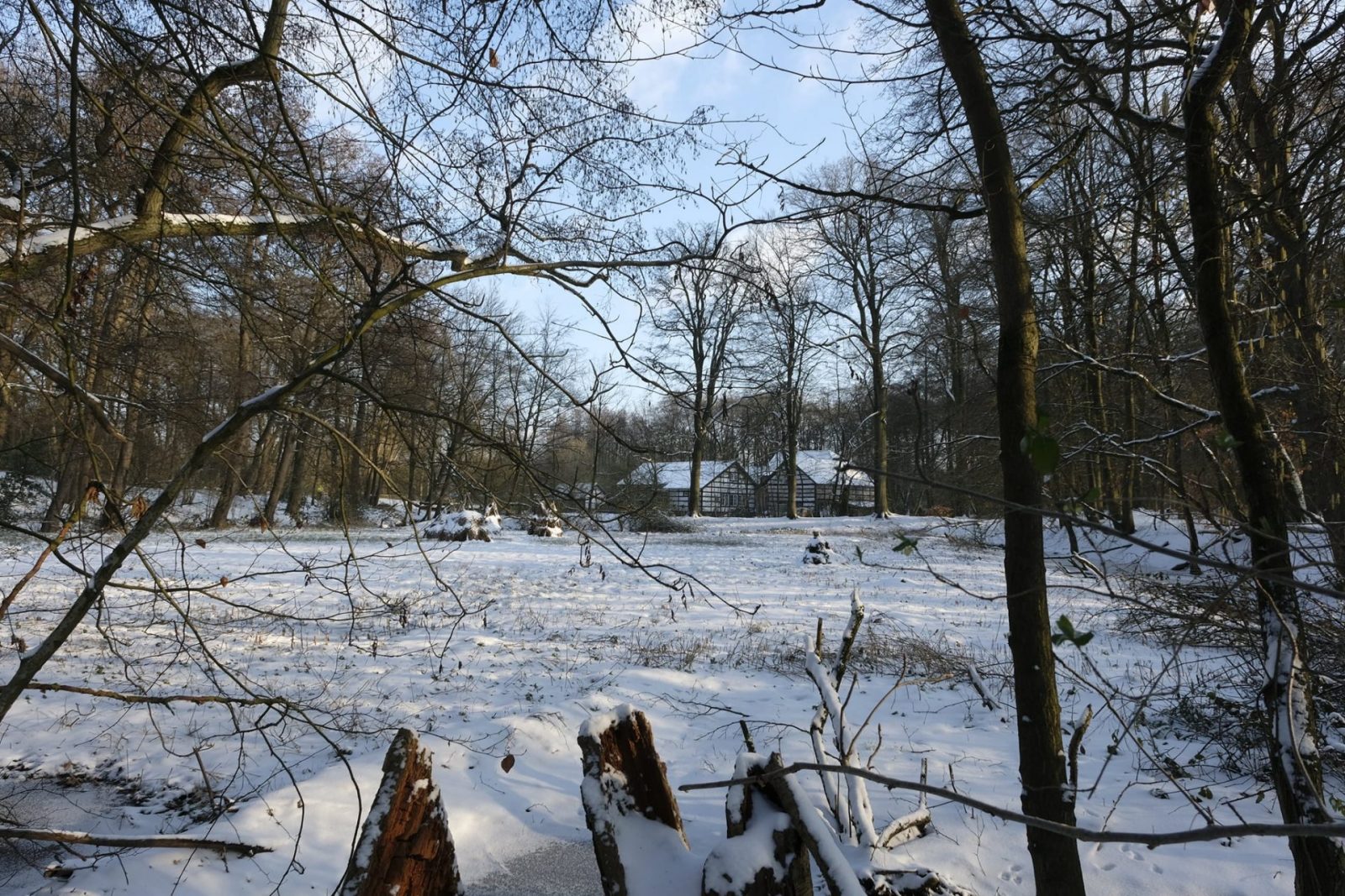 148303833_858535024992696_3850875201549006543_o