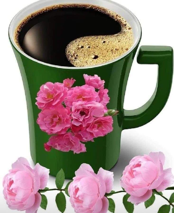 148496108_1349023182132085_575039849493350246_n