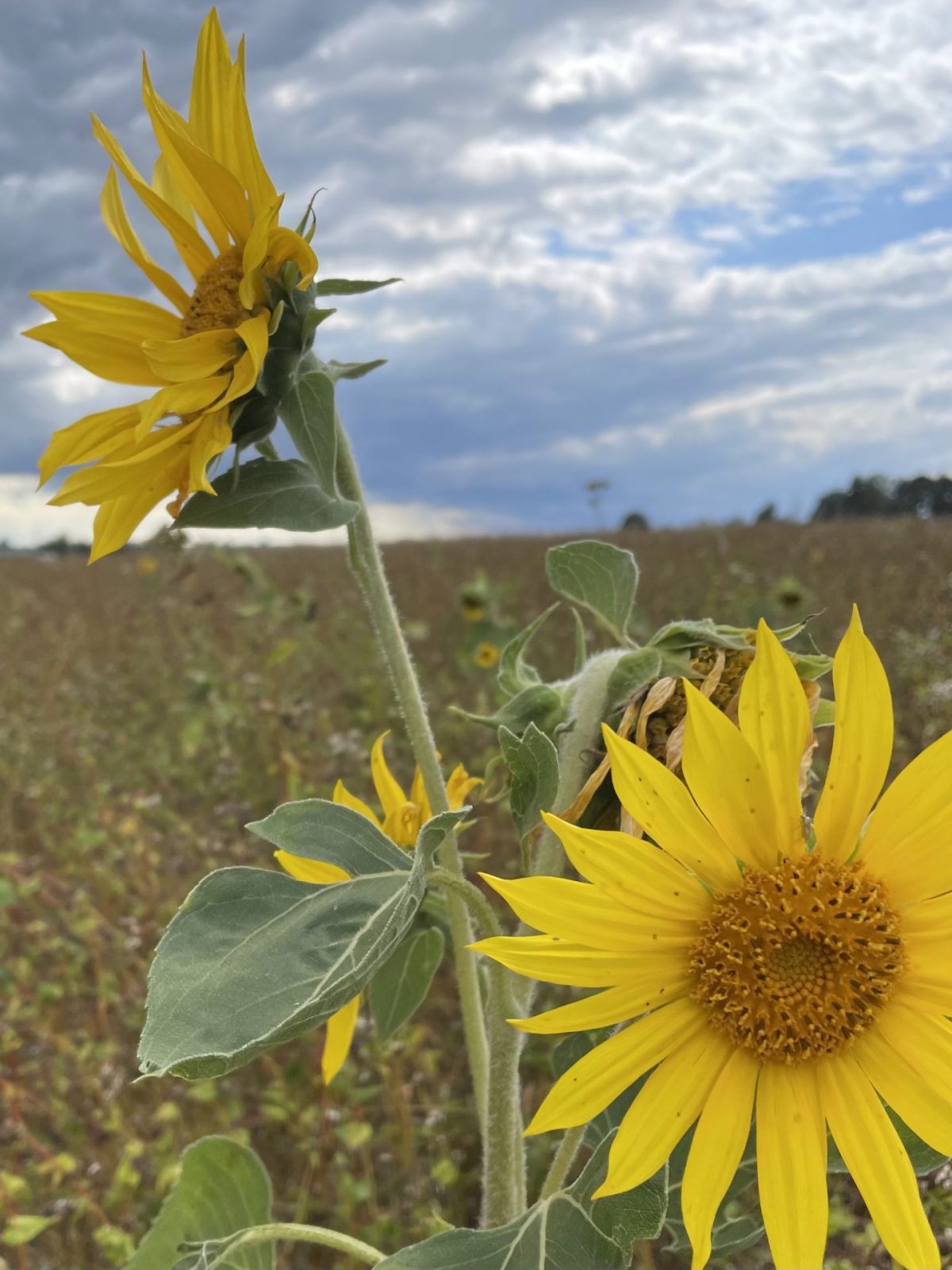 14BCC58A-C9BE-4AC7-85AE-70027DB72A19