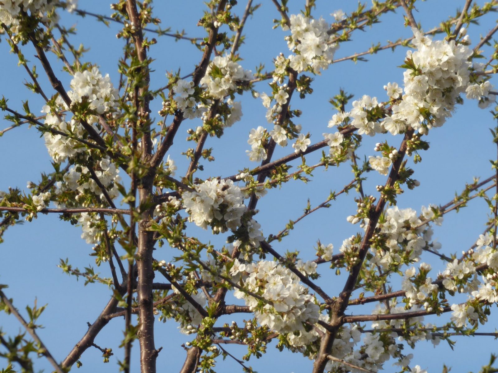 15.+16.4. 2022 Karsamstag (24)