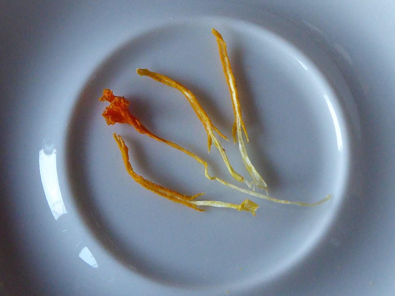 15.+16.4.2022 Karsamstag (11)