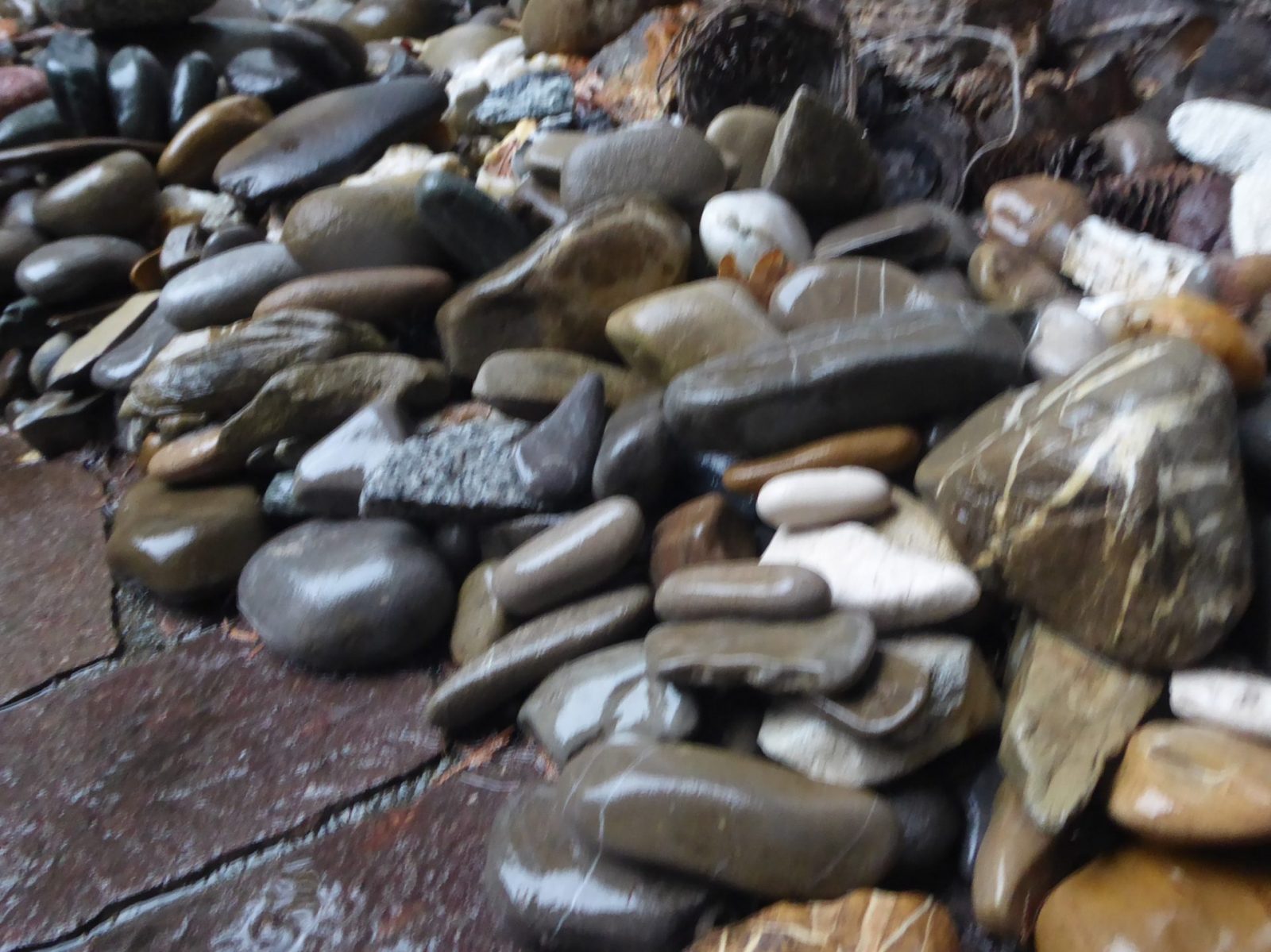 15.8.2022 Montag endlich Regen (12)