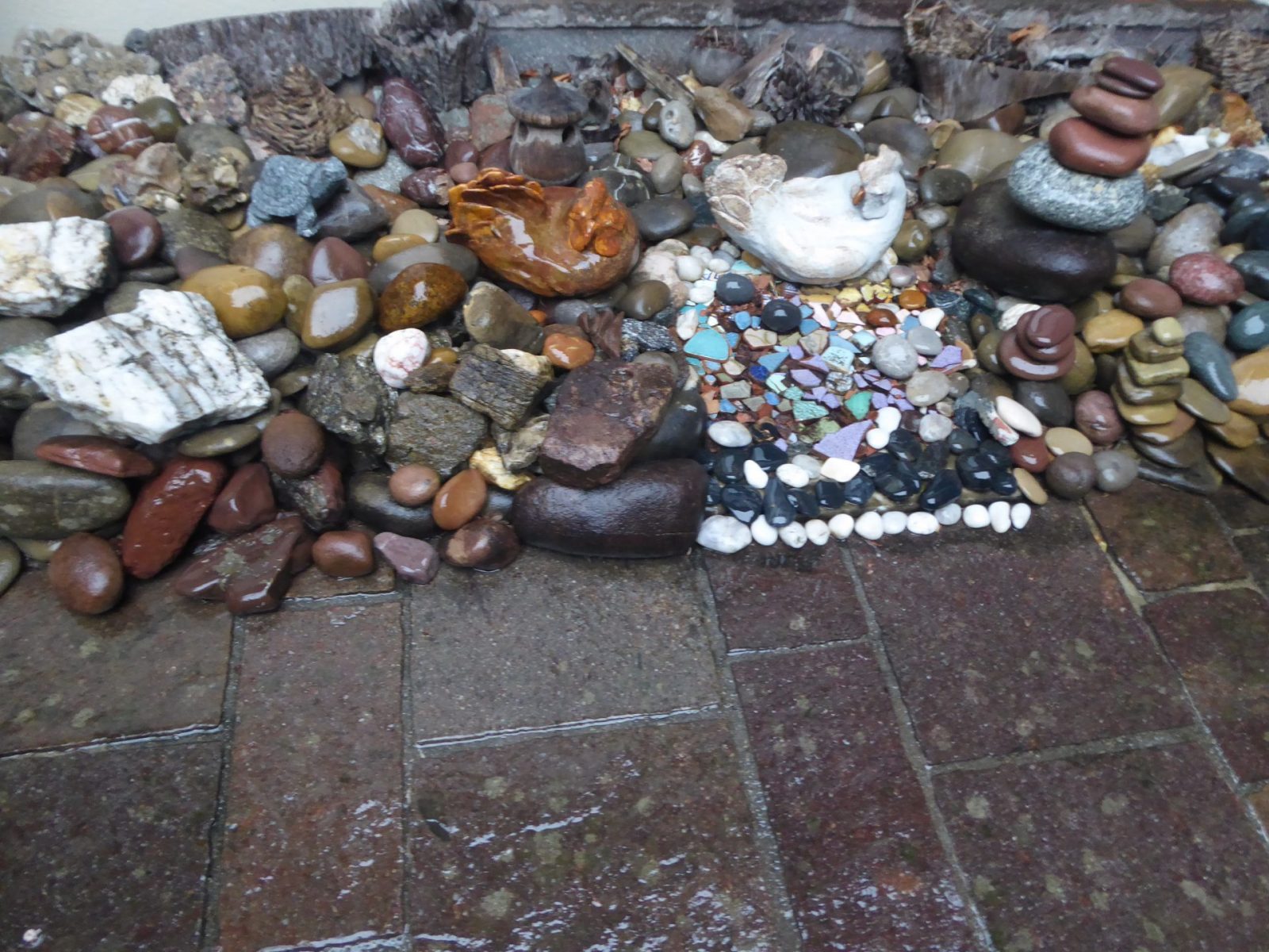 15.8.2022 Montag endlich Regen (26)