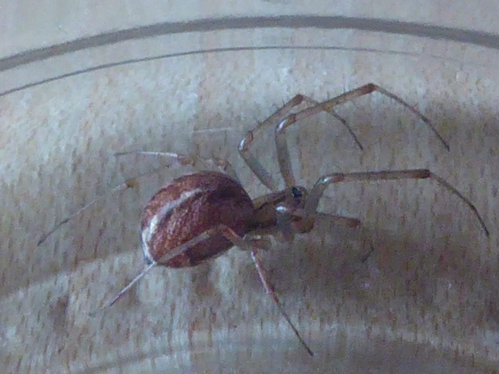 15.9.2022 zuhause (30)