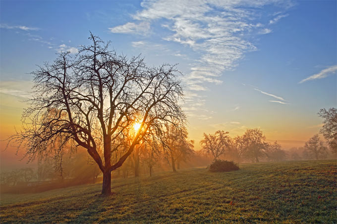 150118-nabu-obstwiese-frank-derer4