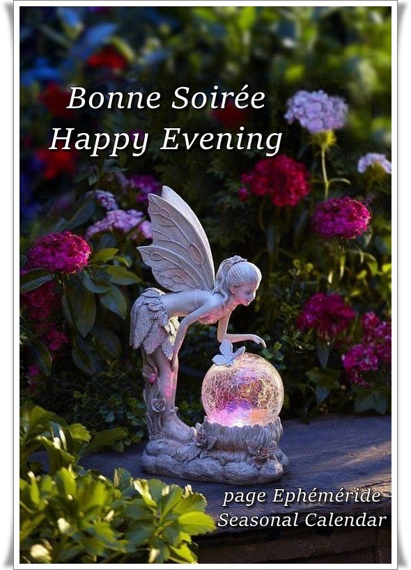 15022645-gartengeräte-und-einen-strohhut-auf-dem-rasen-im-garten