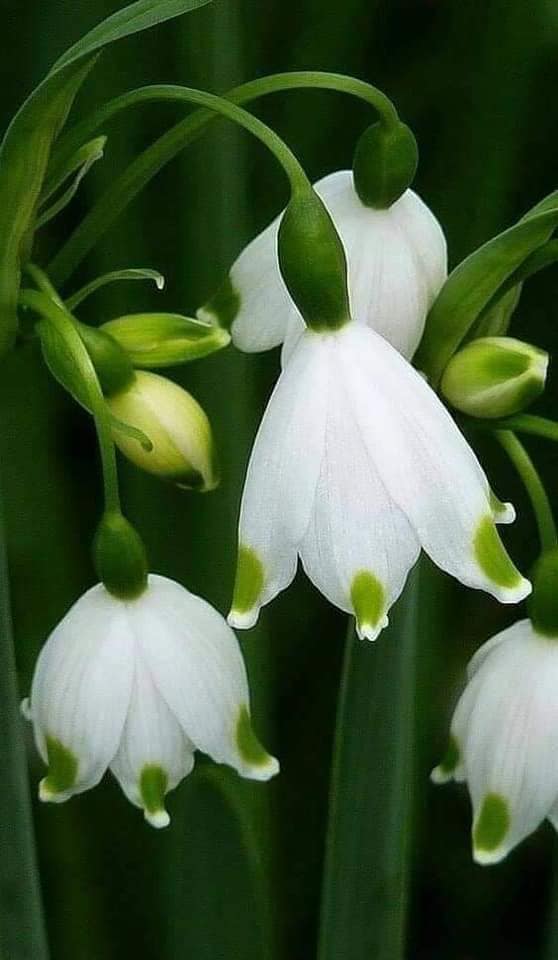 151189348_435092164486364_1985967094933195640_n