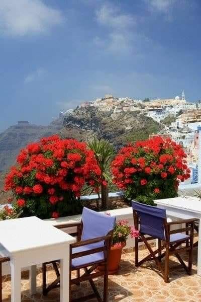 152700183_268974461288089_8851703336028411888_n (1)