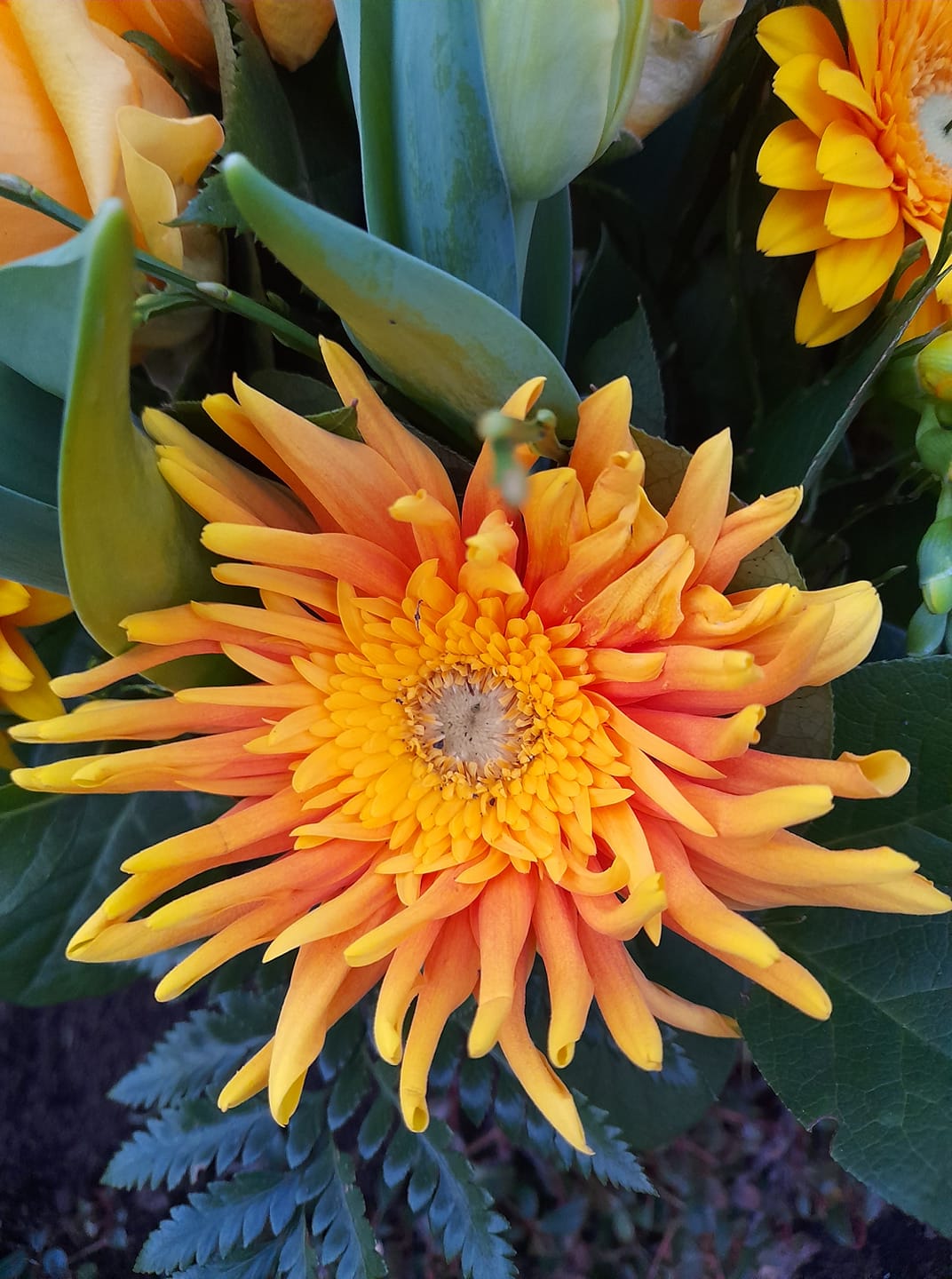 153355043_110367254410289_4173388921282499440_o