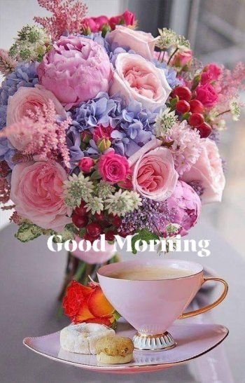 153401738_4004095129640553_2339042579773218363_n