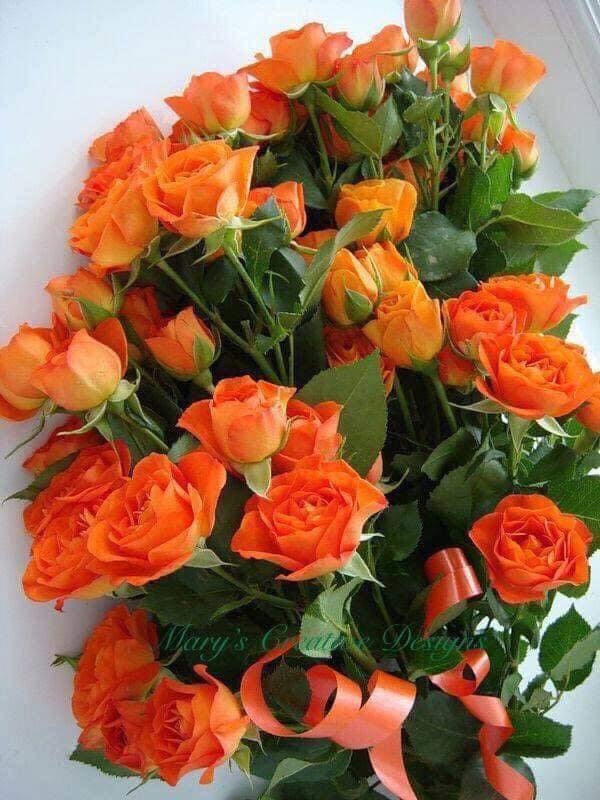 153706267_2850718558499276_2586912013220776325_n