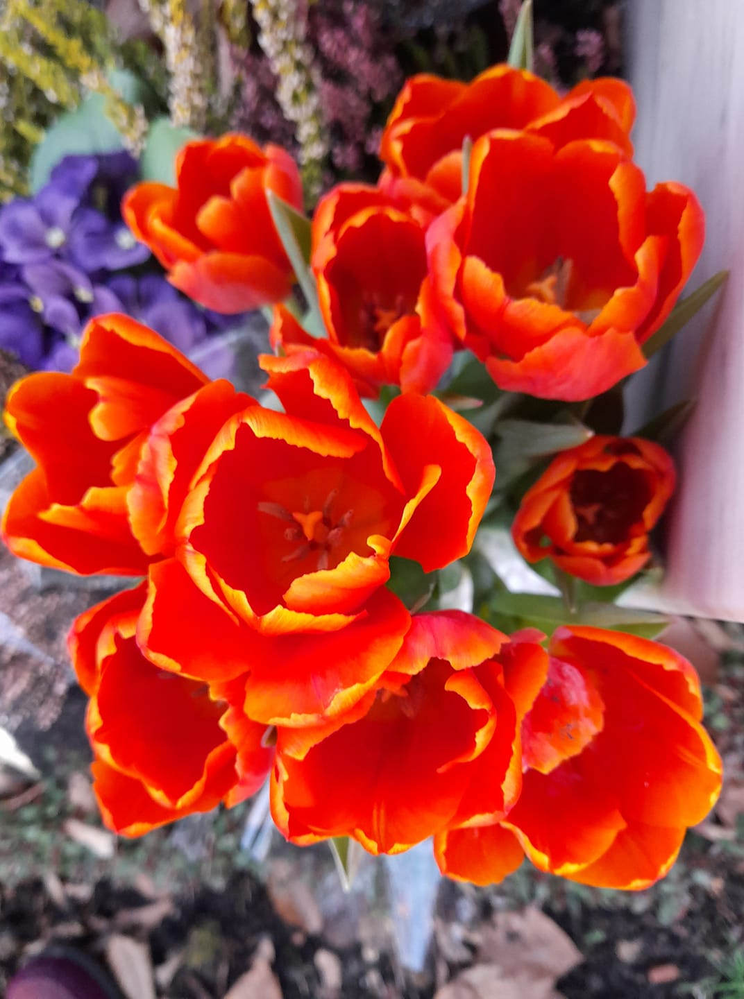 153835488_110543794392635_5553987239436117029_o