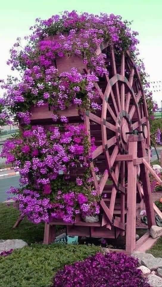 153985032_2872853749619649_3900116820050616536_n