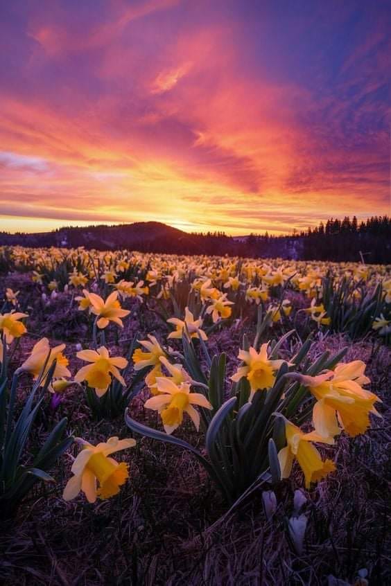 154243753_1174171263037178_7365056321387030316_n