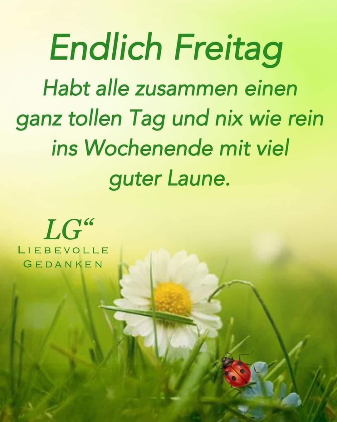 154485357_127648539267592_7542180120110069974_o (1)