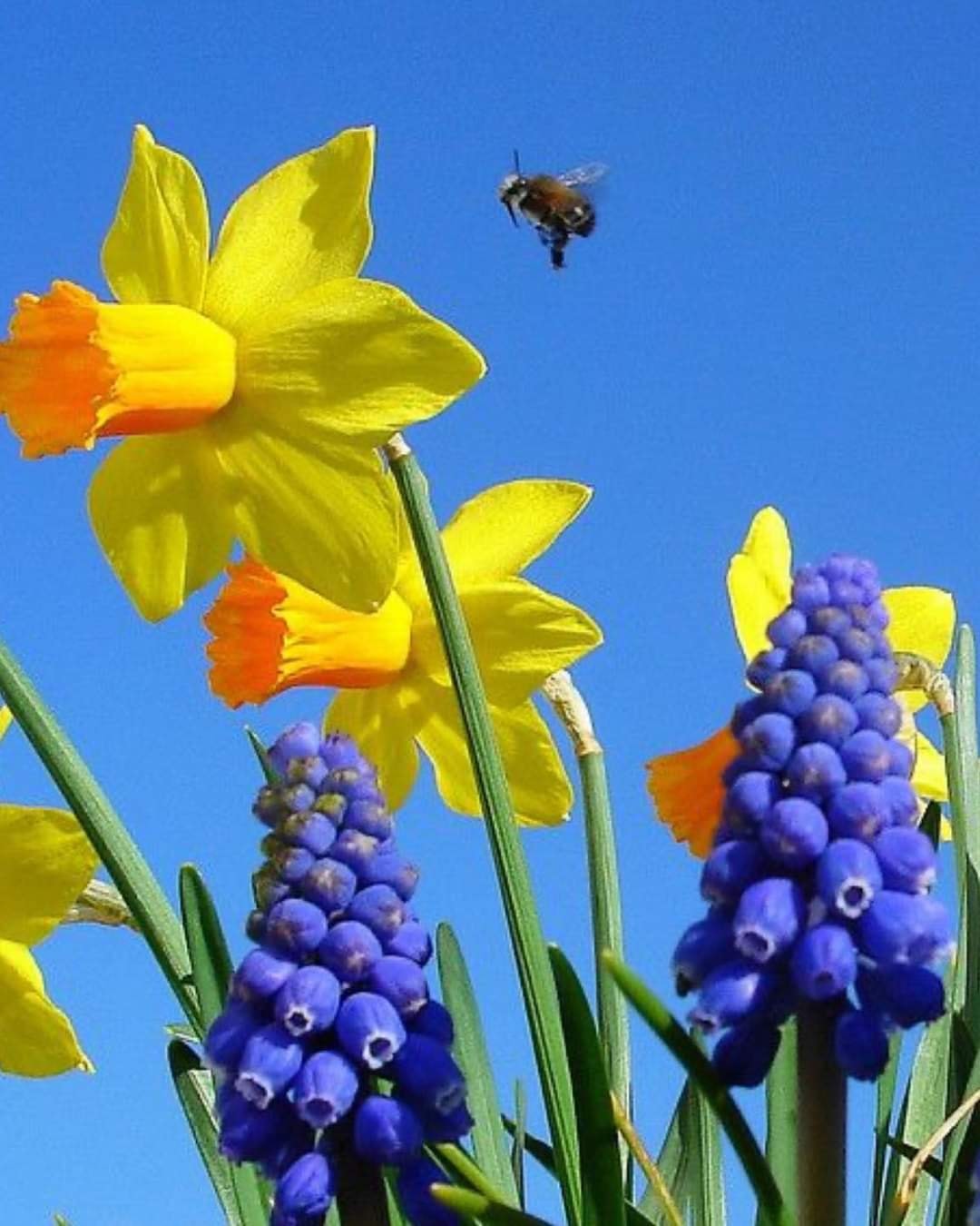 154657067_2872160769738400_6259862931760489481_o