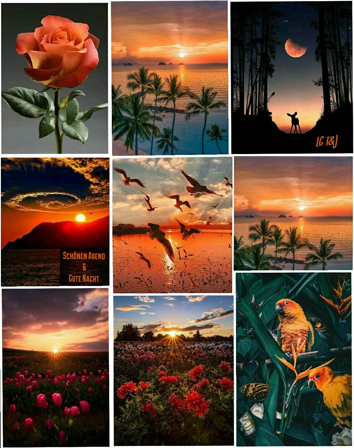 154777099_3810122125730524_6191469792322811092_o