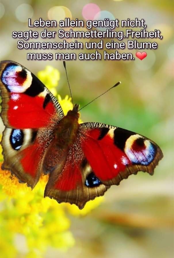 154792276_2872920256329118_4921720025810278107_n