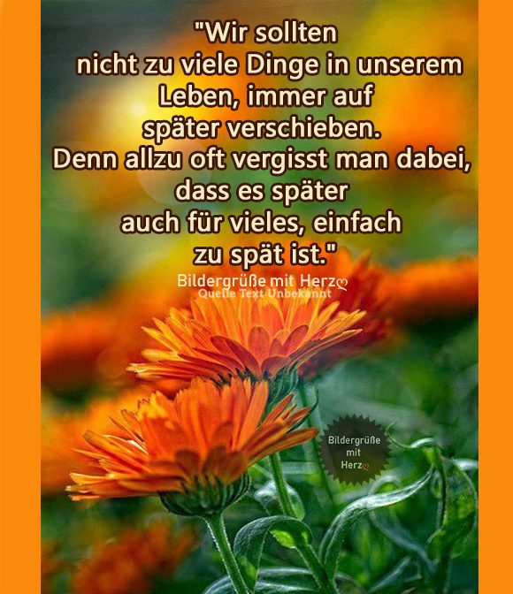 15568778577289175608