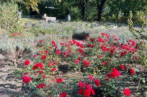 15572158-0511-4763-a9c8-a6710b0cc313