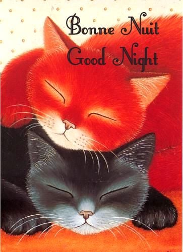 155866709_4010548328995233_3373622647586341470_n