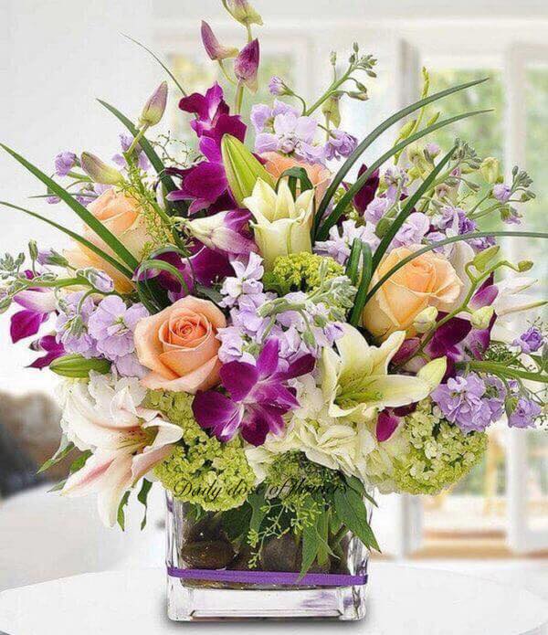 156032976_2967421653477433_4158564998212769734_n