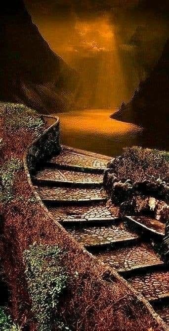 156525885_274645650720970_4251916061331092747_n