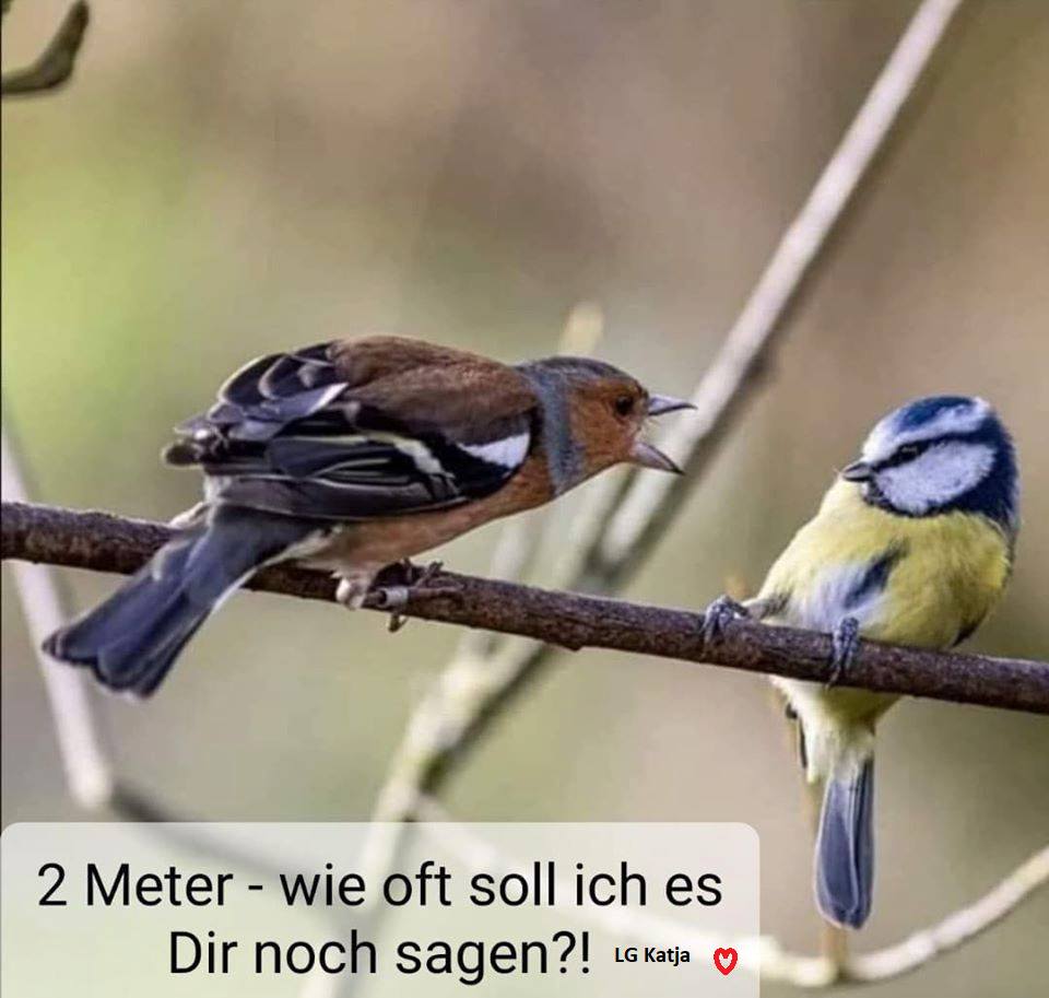 156620199_3787321008013173_1453261547899103642_n