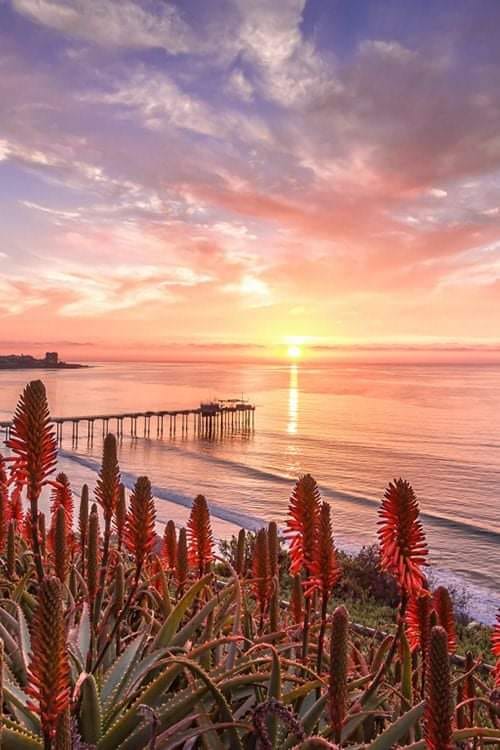 156786852_1177297222724582_37747845896429717_n