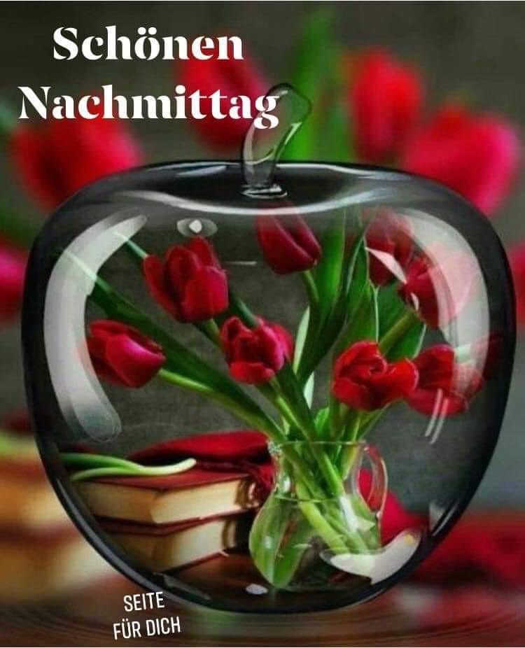 157266879_117318663706872_8864597947416265595_n