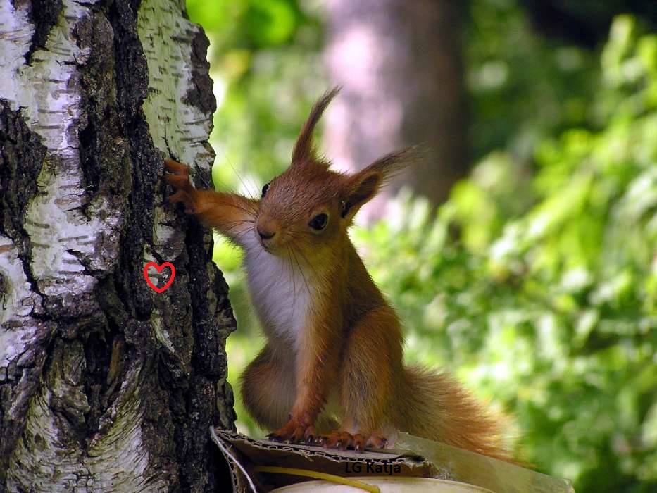 157389428_3794352987309975_7556551029496432766_n