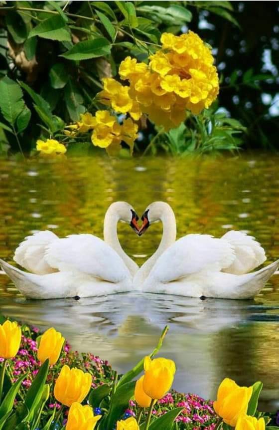 157454655_3826951390714264_423741672670184139_n (1)