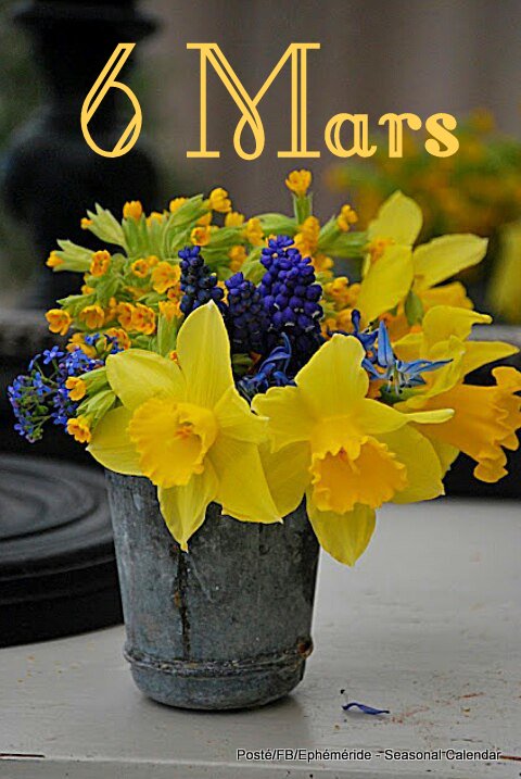 157682612_4023595017690564_7847302750344322750_n