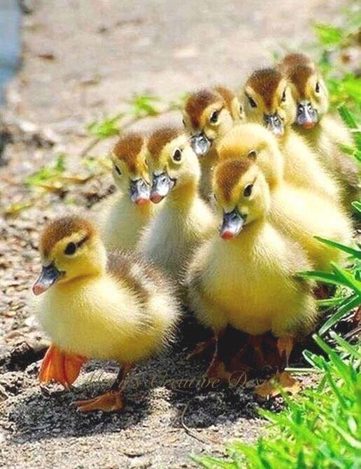 157792250_2856404014597397_2407321048436809813_n