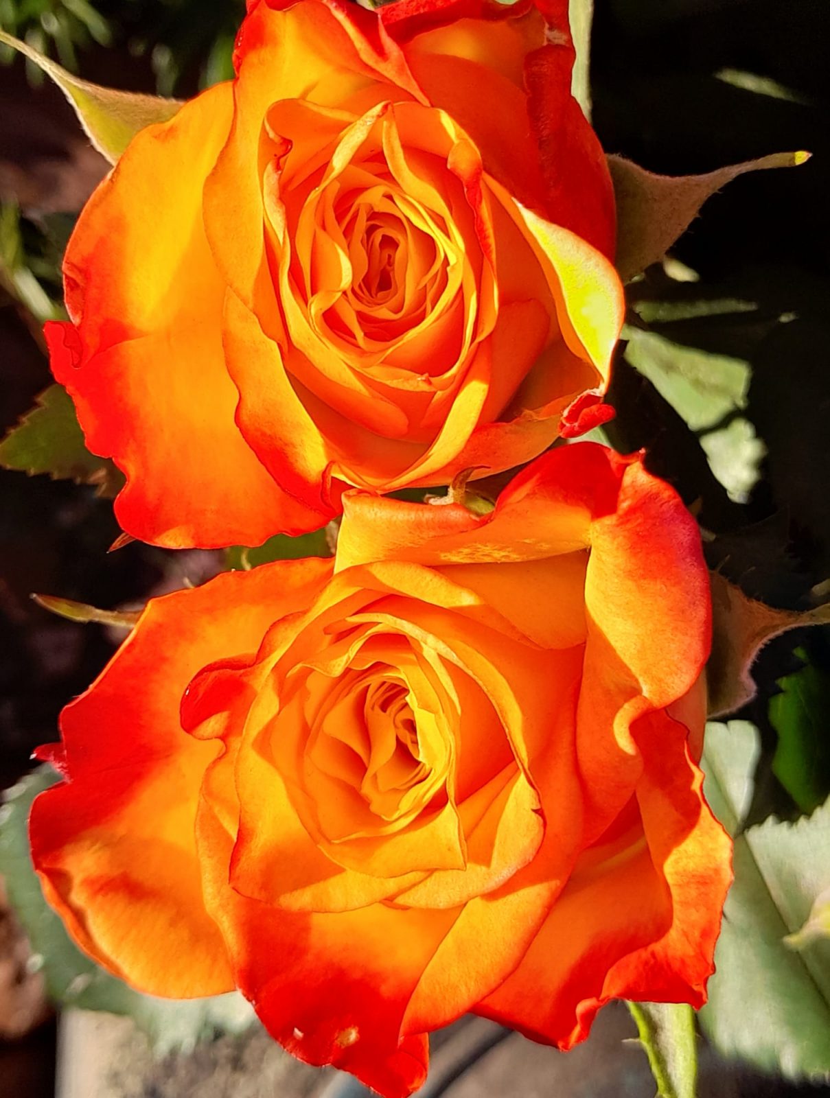 158446830_112750407505307_4497287147292801740_o