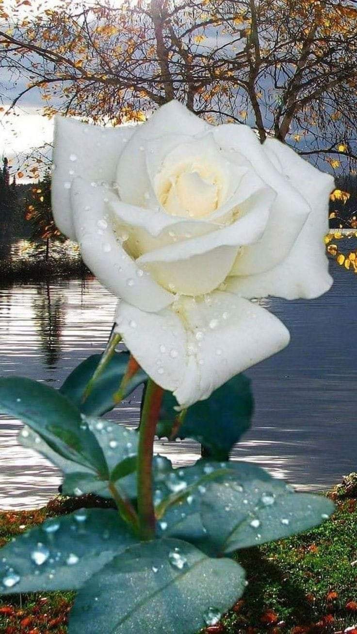 158717440_2878873032400507_7602551991276030114_o