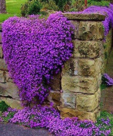 158819779_2861604040744061_7263768922851714069_n (1)