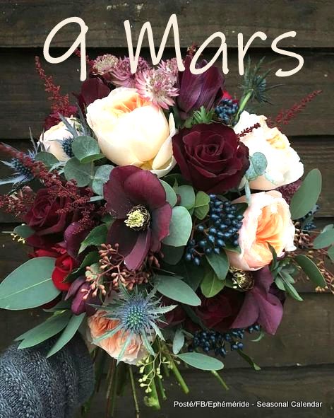 158928386_4031767746873291_4378263168070496965_n