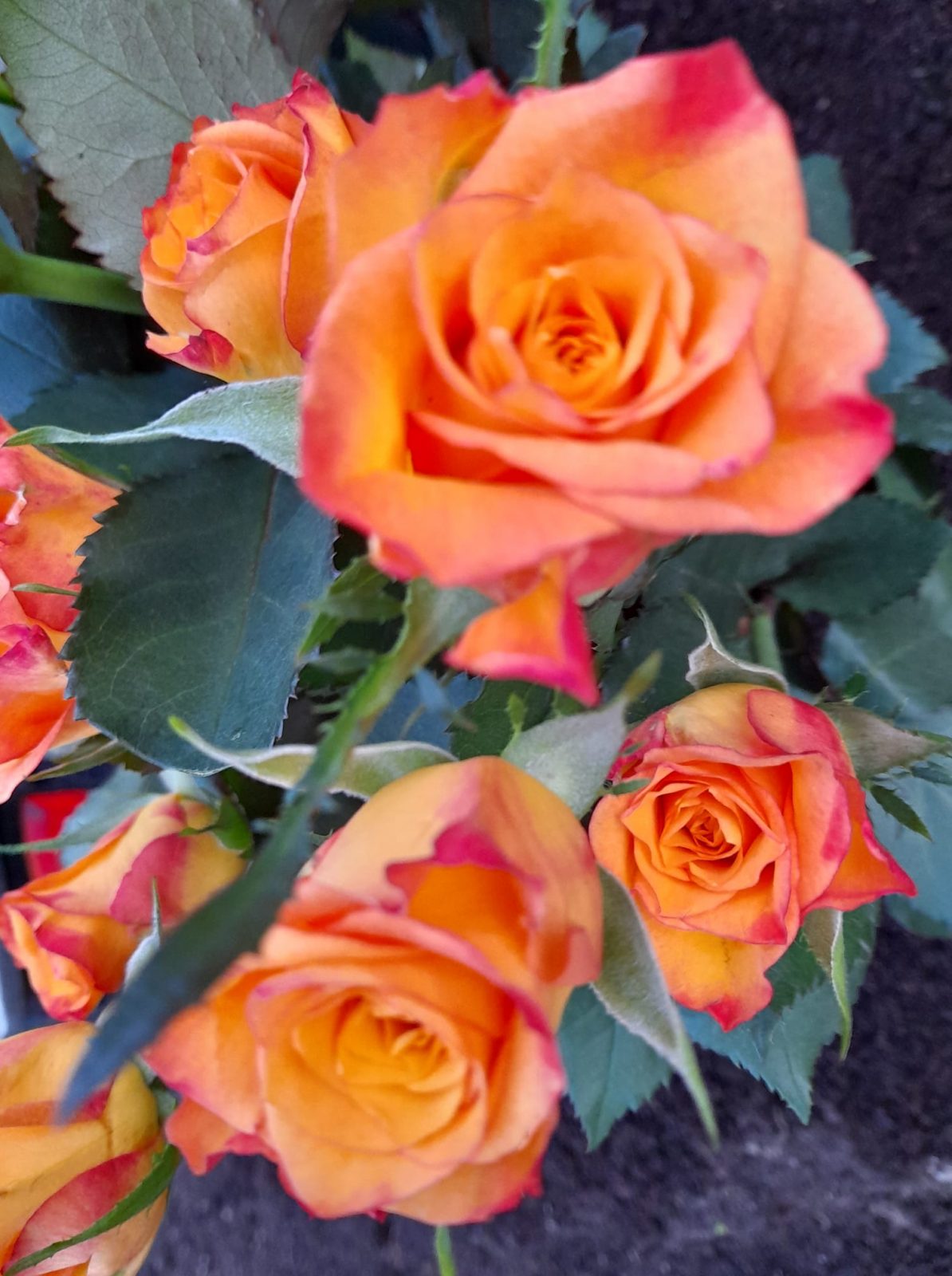 158940918_113088310804850_6171564160098008558_o