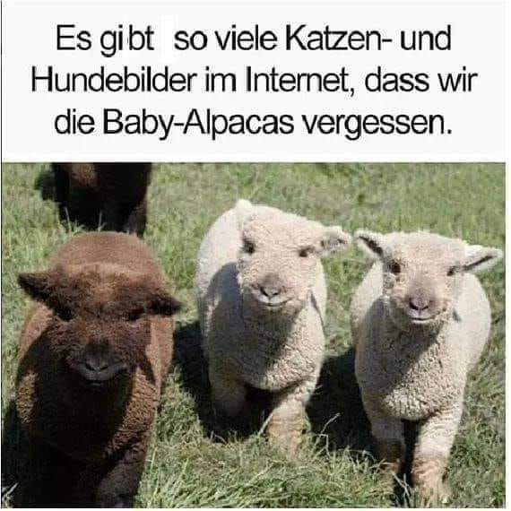 158964884_1181625948958376_343337193909959902_n