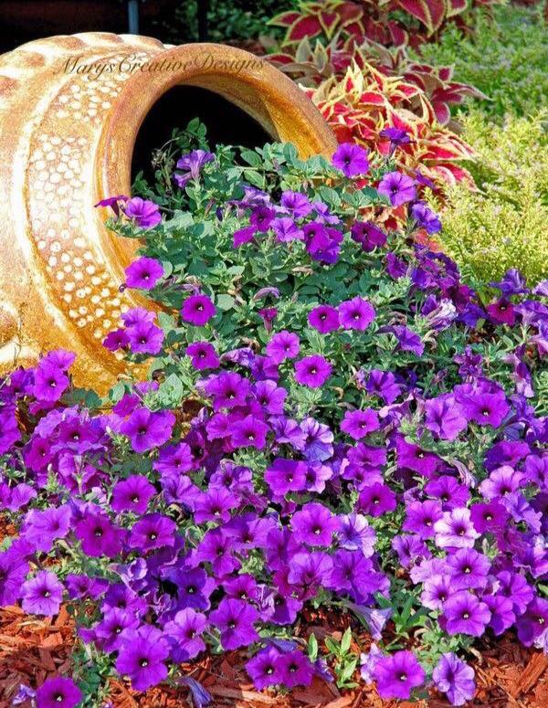 159163876_2858765817694550_86468585969299947_n