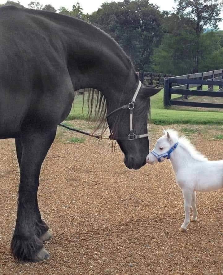 159410452_257948609203235_5630143358109991410_n (1)