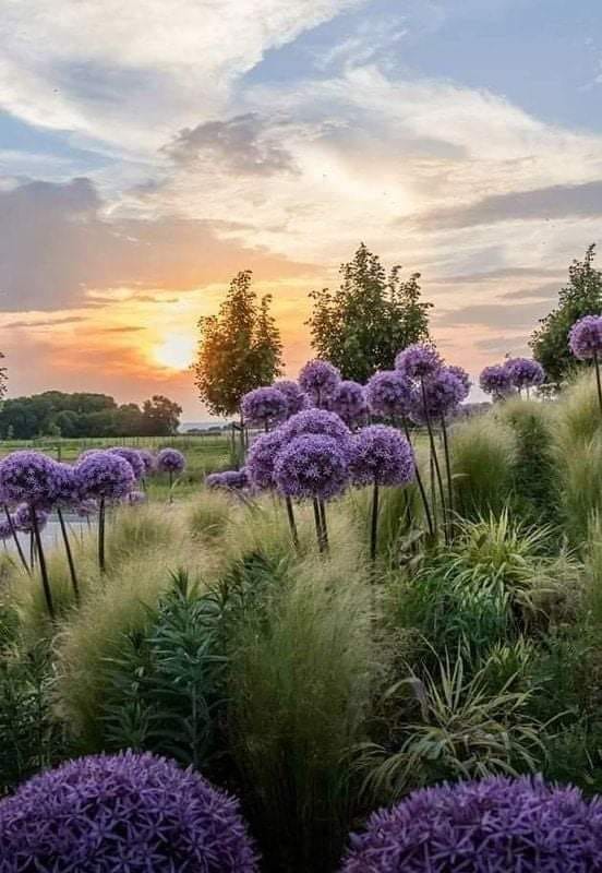 159650127_1183681932086111_2066410539500076541_n