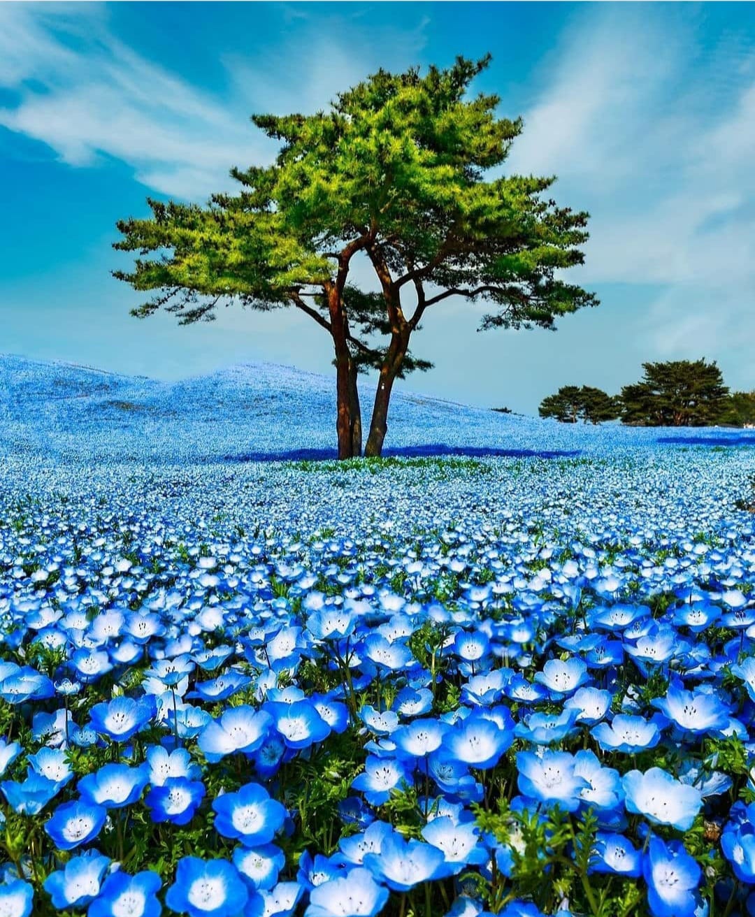 159916675_1367151010319302_7004382139798789474_o