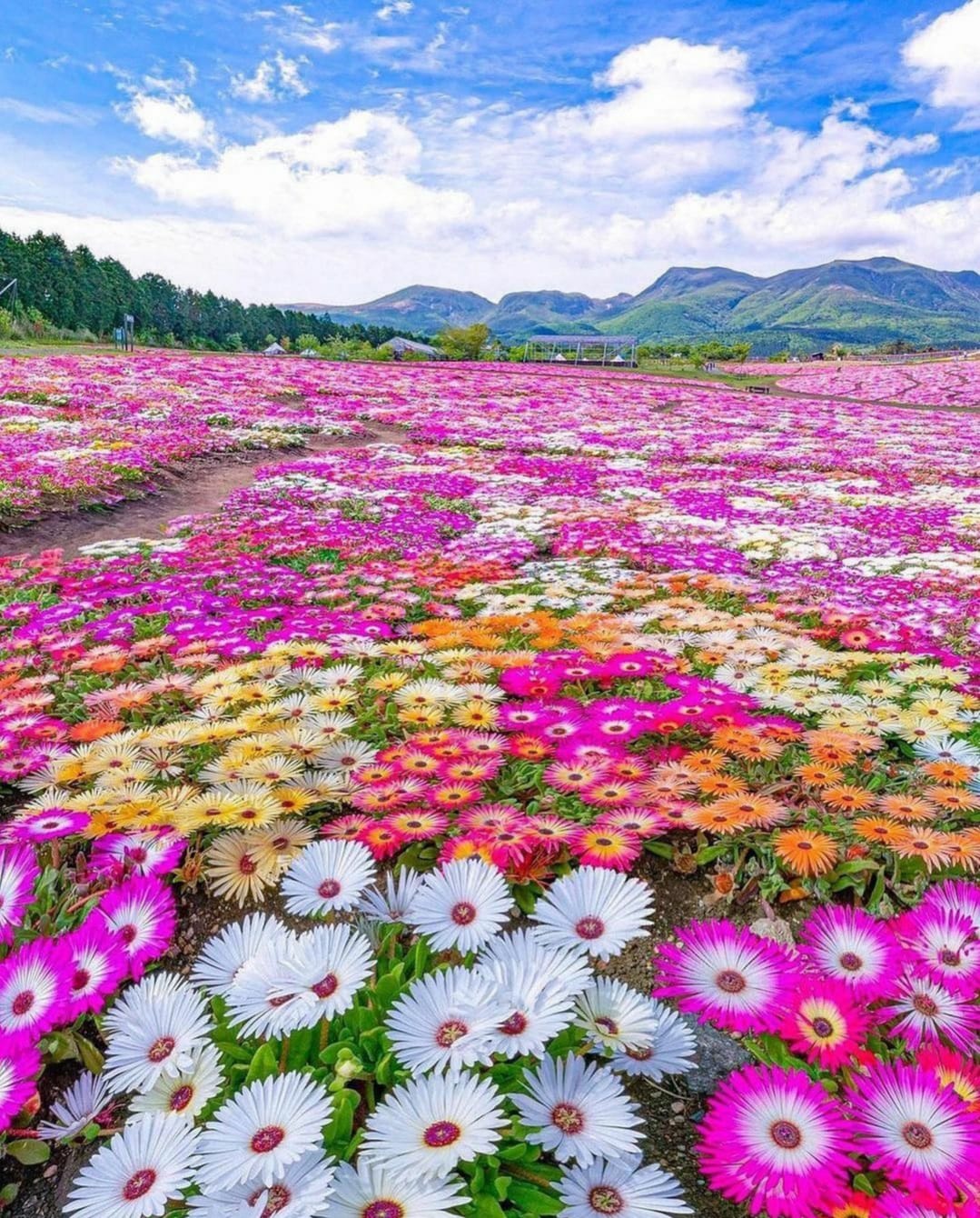 159920242_1368260023541734_2963012763880360564_o