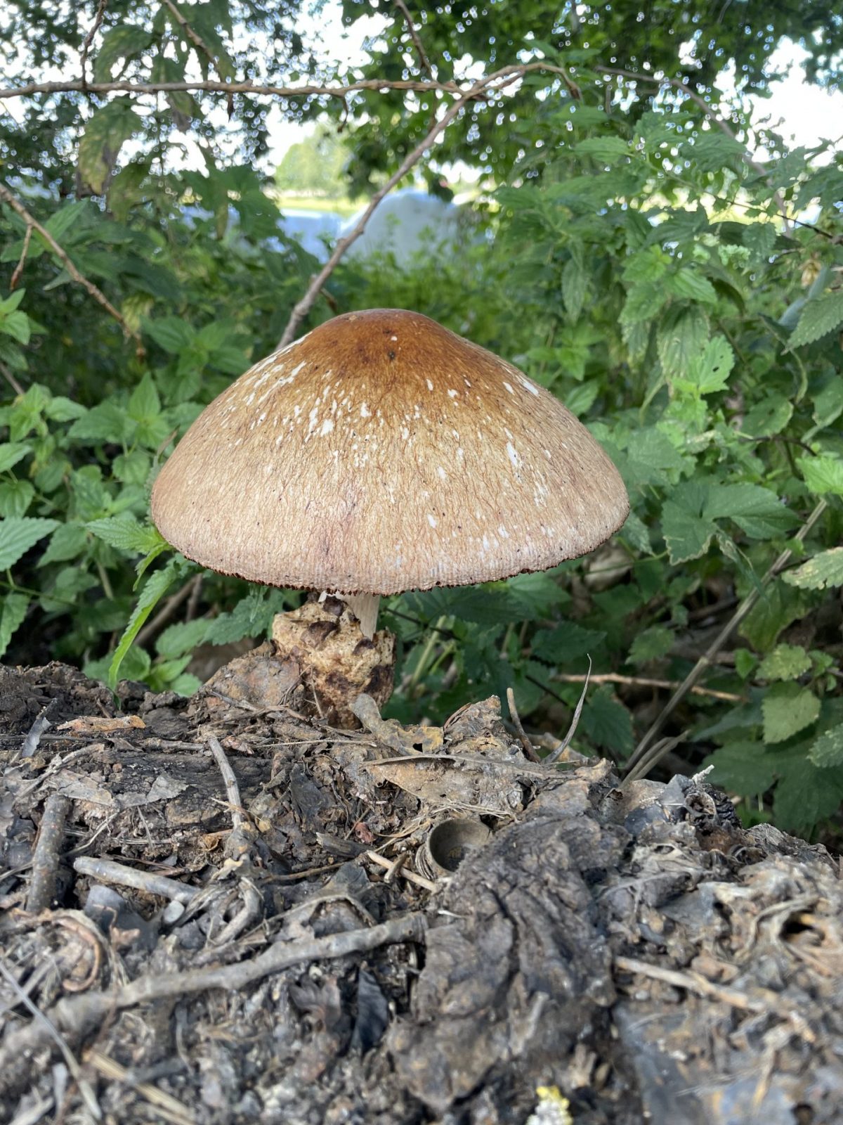 15D5E805-329D-4ACE-9E60-D67B603C9071