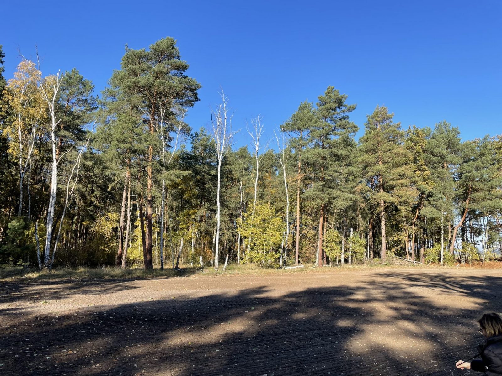 15E0DCA7-B9A8-4576-ACA6-3409F489092F