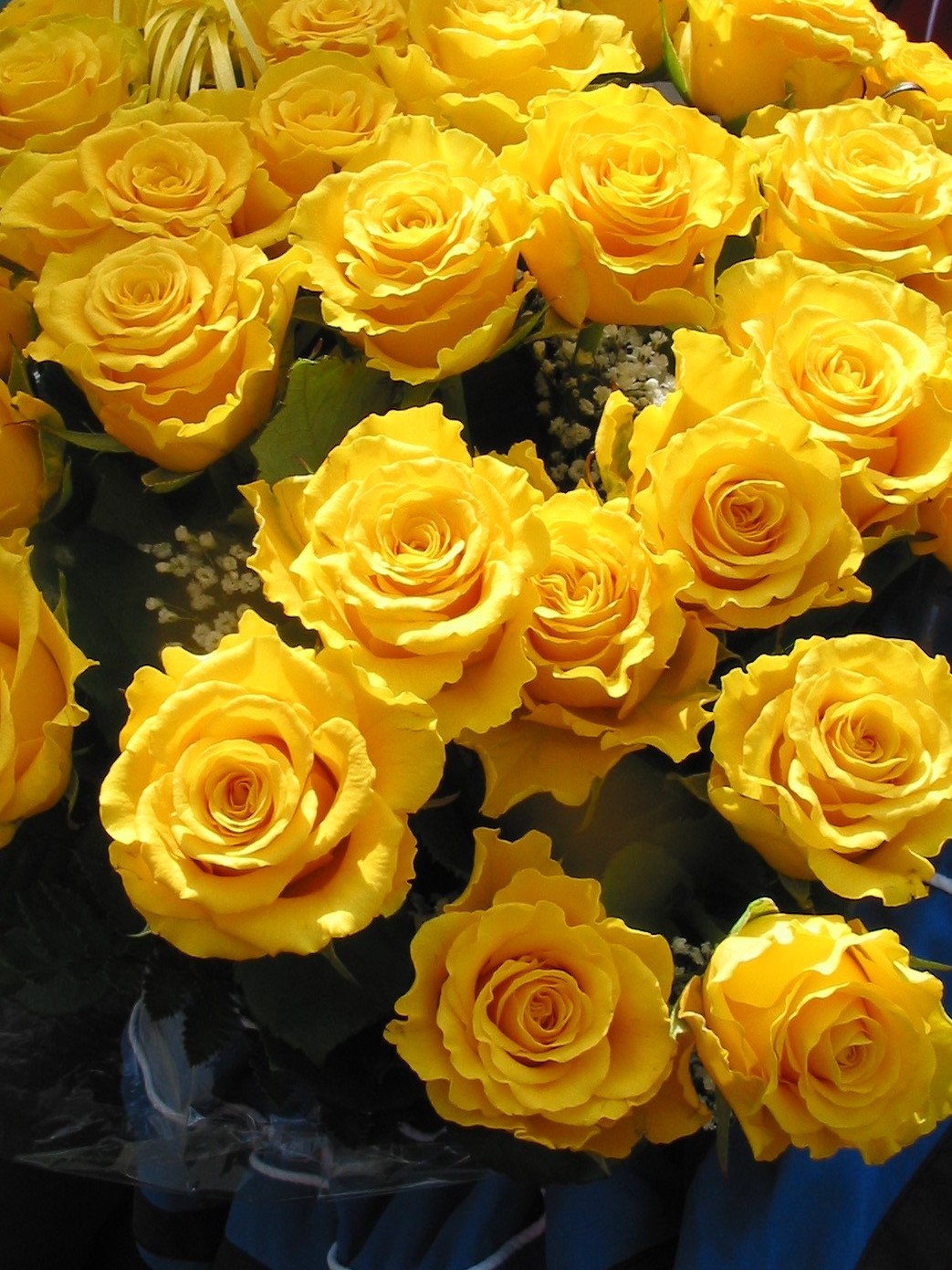 16.5.2009 Oberhof 37. Rennsteiglauf (109)