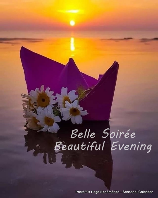 160030094_4041744025875663_7073280782106620309_n