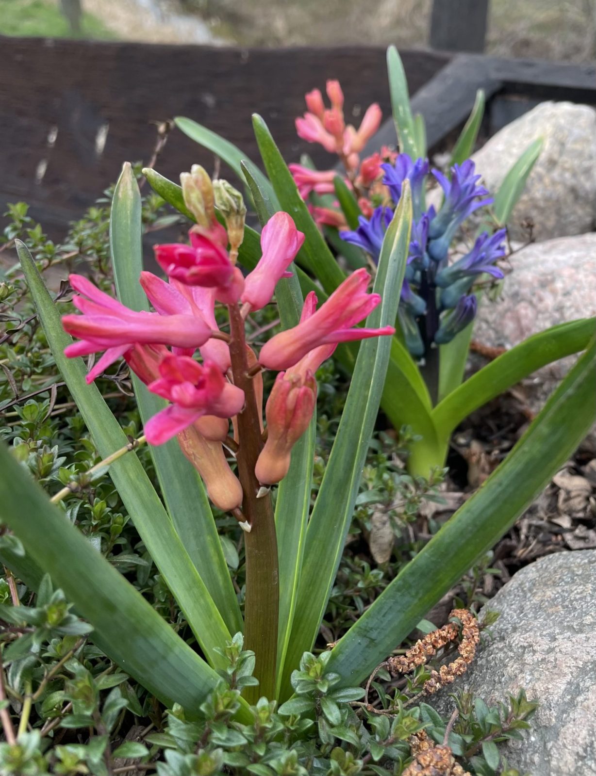 1600F201-9EC8-47B7-A1B8-B4867A739018